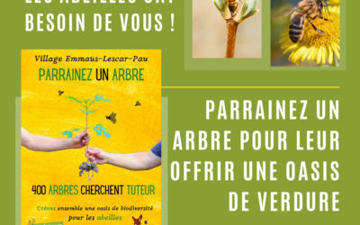 L’Oasis des abeilles – Episode 1 – Le maire de Labastide Cézéracq