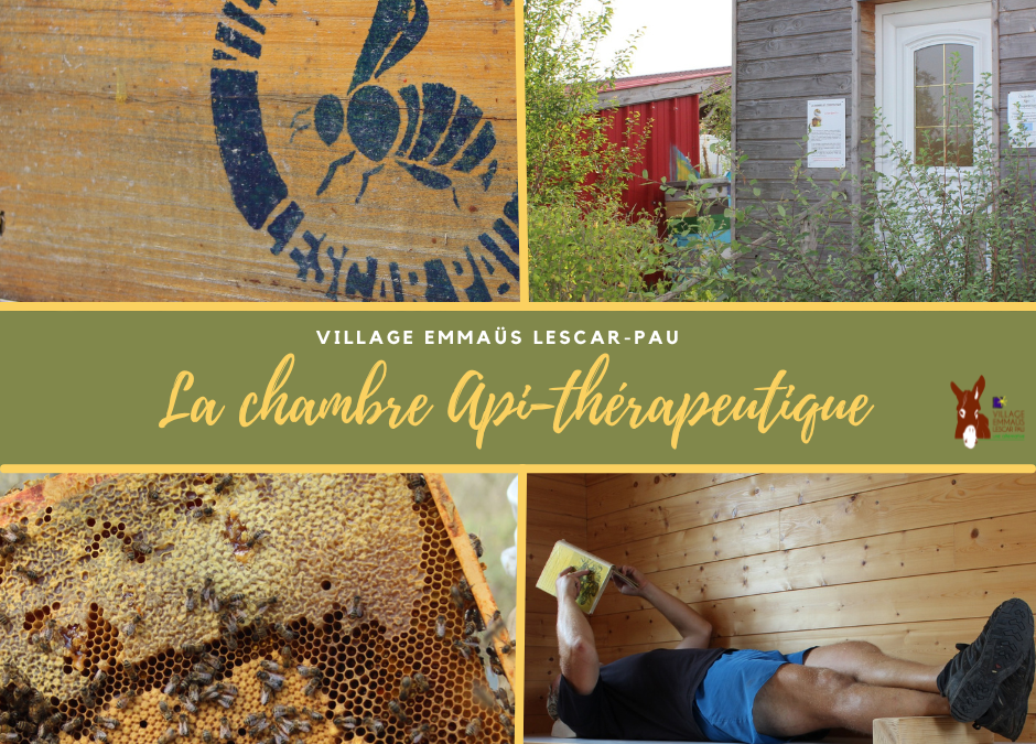 La chambre api-thérapeutique